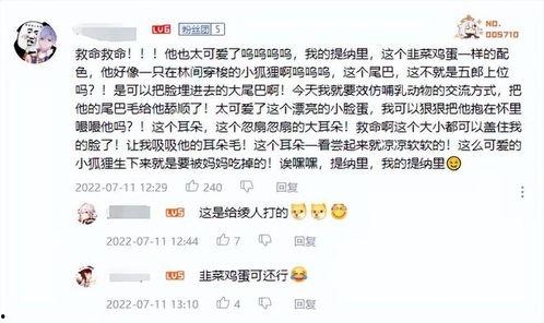 原神最新爆料榜是谁,神秘角色横空出世，谁是下一个游戏焦点？